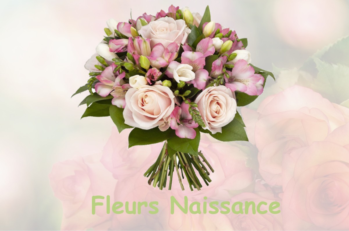 fleurs naissance CAMPET-ET-LAMOLERE