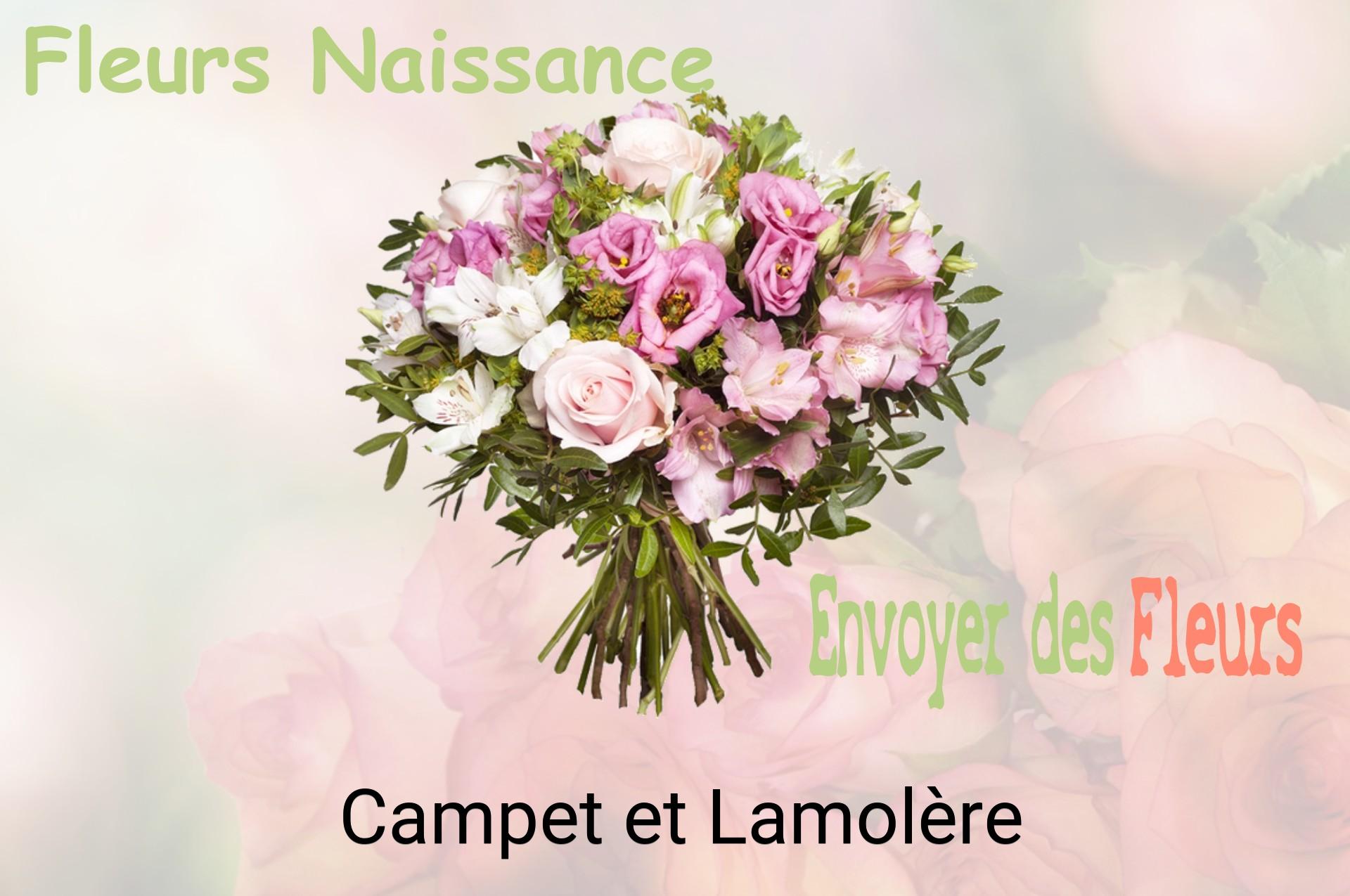 Bouquet de fleurs de naissance livré à Campet-et-Lamolère